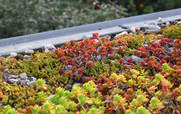 the cost of Kirkinner green roof installation