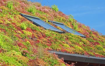 Kirkinner living roof systems